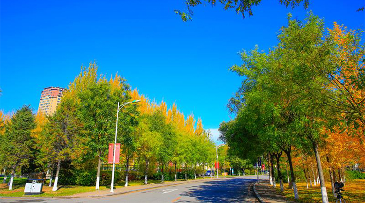 沈阳体育学院2020届毕业纪念视频——你好，未来