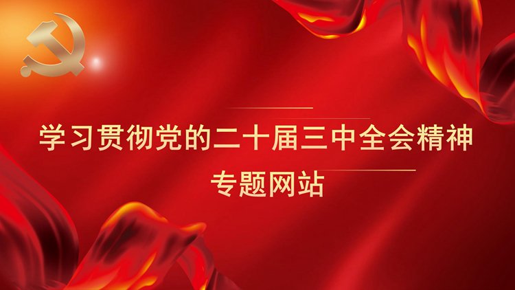 学习贯彻党的二十届三中全会精神专题网站