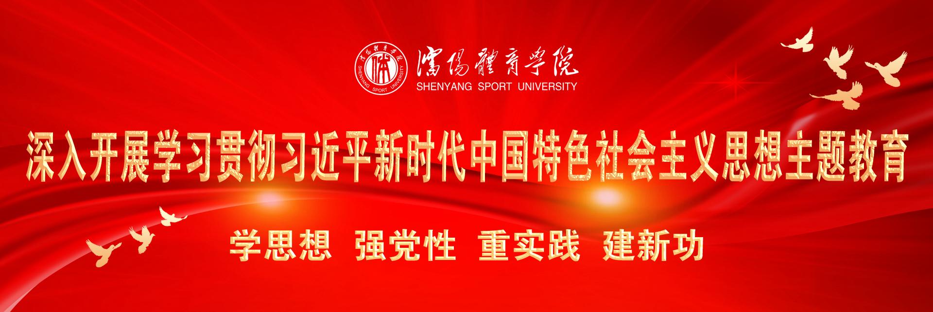 学习贯彻习近平新时代中国特色社会主义思想主题教育